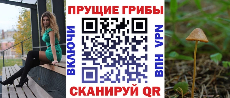 Псилоцибиновые грибы Magic Shrooms  Купить где  Протвино 